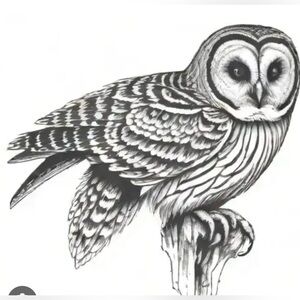 Meet your Posher, Dan